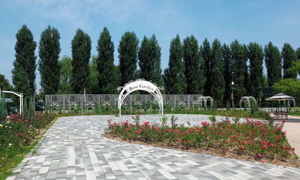 오는 22일 두 쌍의 부부 결혼식이 이뤄지는 강나루한강공원 장미원. 서울시 제공