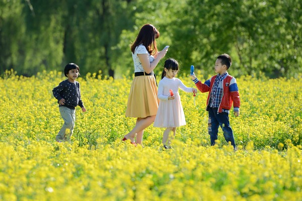 서울 시민들이 유채꽃으로 가득한 서초구 반포동 서래섬에서 즐거운 한 때를 보내고 있다. 서울시 제공