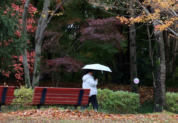 [기상속보]오늘날씨 전국 곳곳 5∼20㎜ 비 서울 낮 11도 강원·전북산지 1∼5㎝ 눈...주말,주간예보/사진=연합뉴스